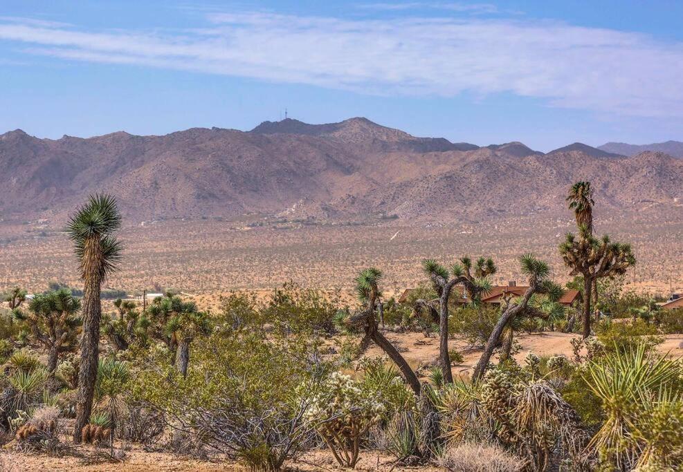 Jt Cottage Yucca Valley Bagian luar foto
