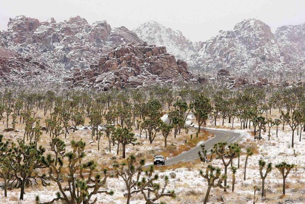 Jt Cottage Yucca Valley Bagian luar foto
